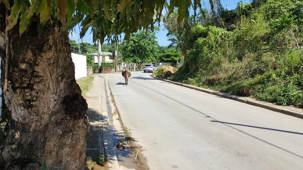 招待所 Villa Mona Tropical 拉斯特拉纳斯