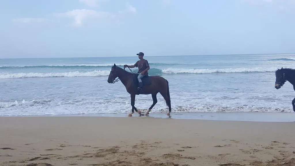 Villa Mona Tropical 拉斯特拉纳斯