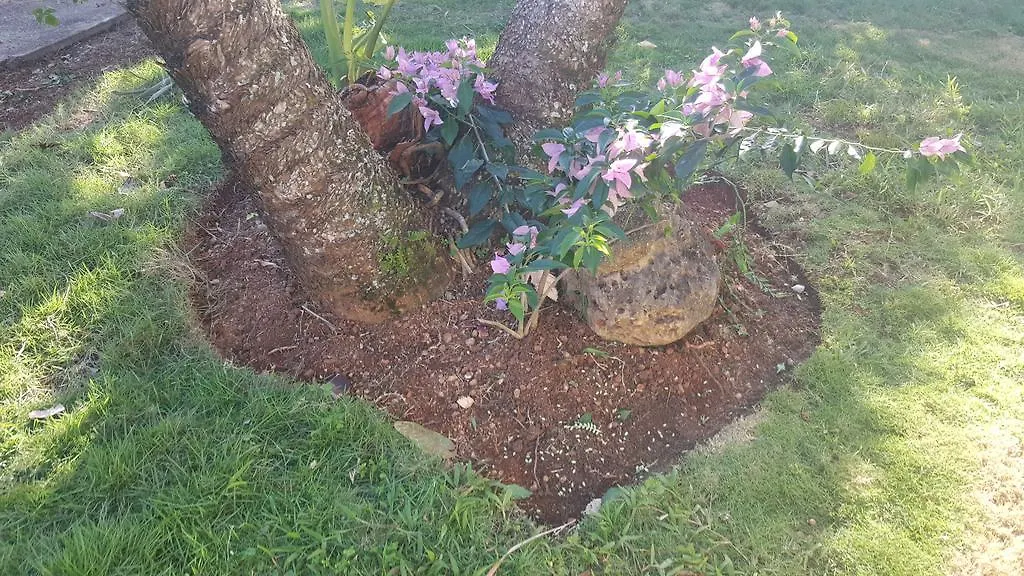 招待所 Villa Mona Tropical 拉斯特拉纳斯